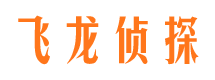 青白江市调查公司